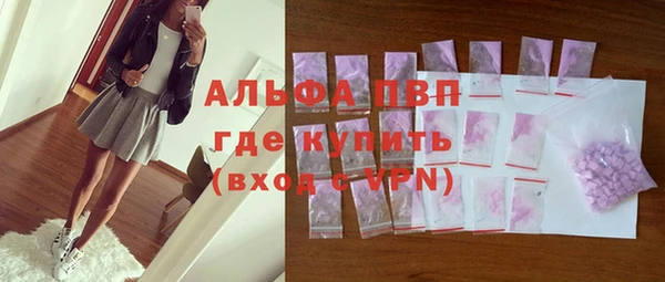 дурь Бородино