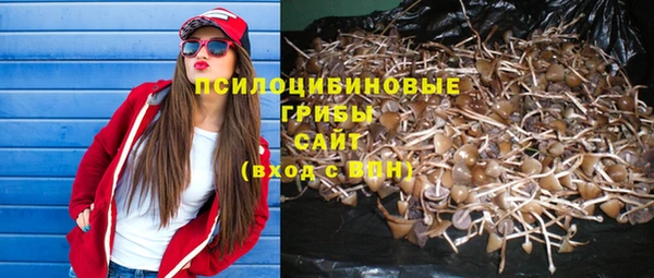 дурь Бородино