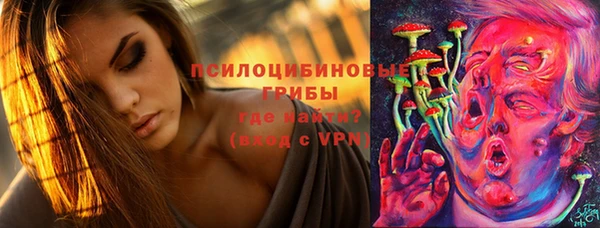 герыч Бронницы