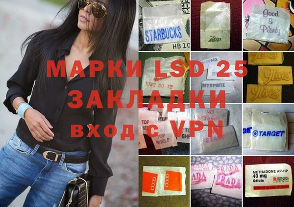 дурь Бородино