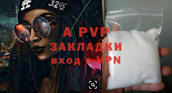 дурь Бородино