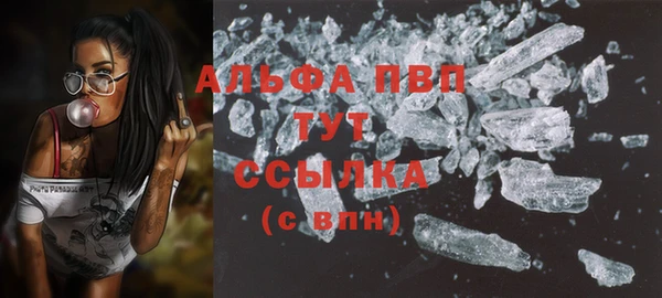 дурь Бородино