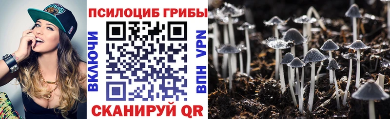 Купить закладки Луга Псилоцибиновые грибы прущие грибы